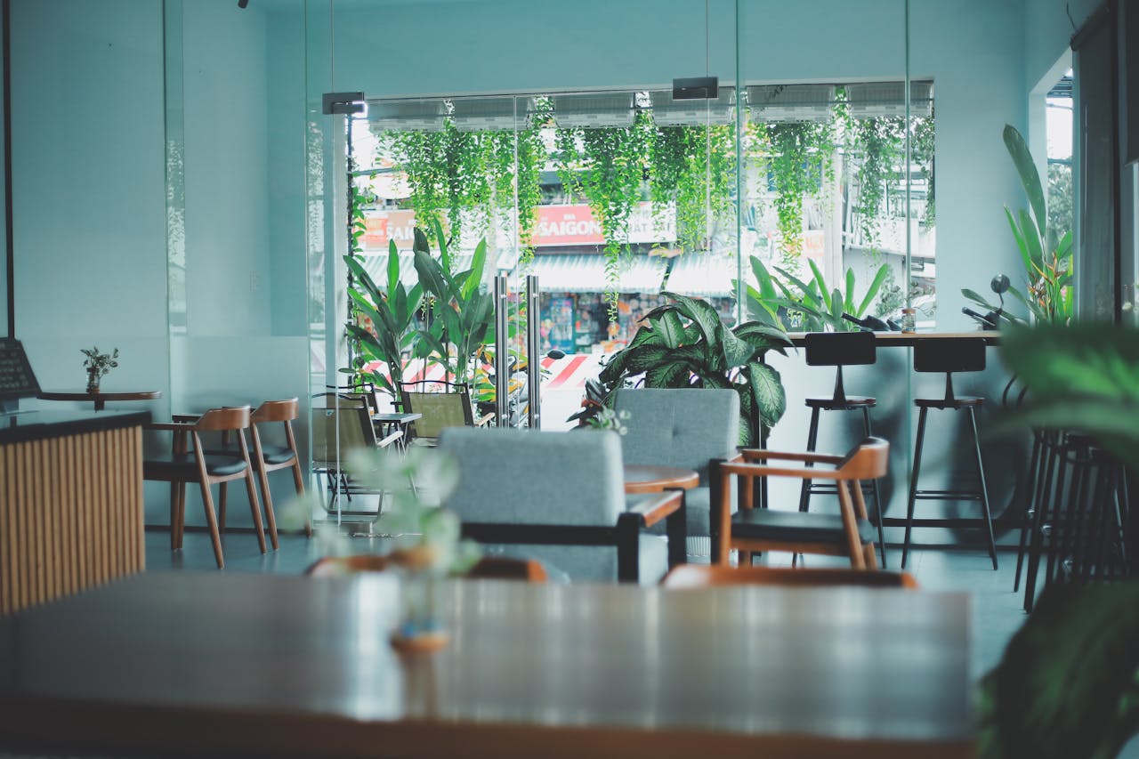 Contact A serene and stylish cafe interior accented with lush greenery and modern furnishings.