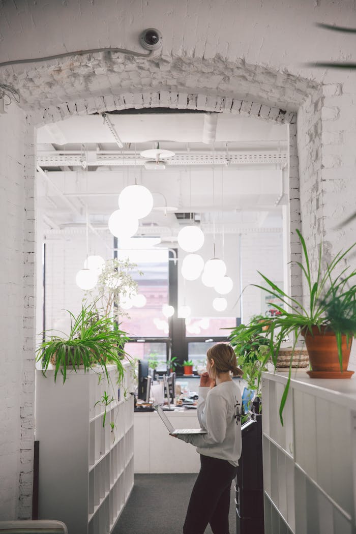 Bright contemporary office space with indoor plants and modern design elements.